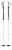 Boundary Probe Ski Poles